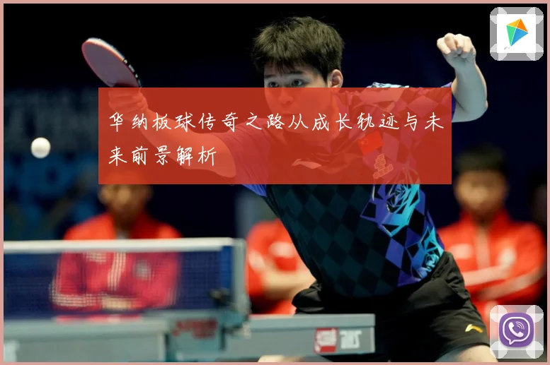 华纳板球传奇之路从成长轨迹与未来前景解析