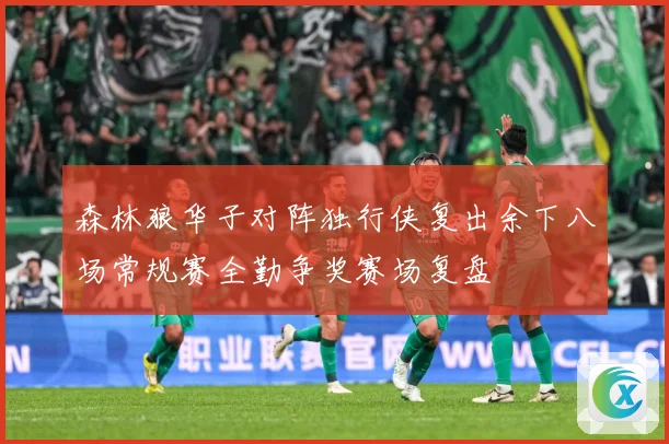 森林狼华子对阵独行侠复出余下八场常规赛全勤争奖赛场复盘