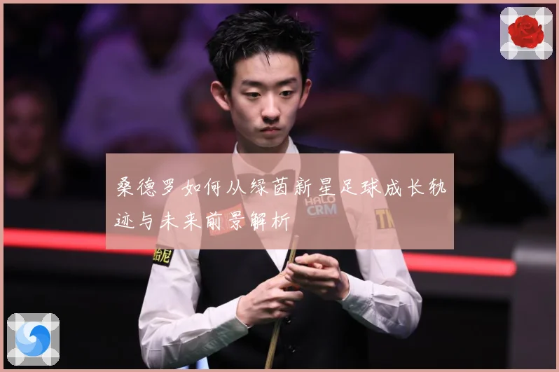 桑德罗如何从绿茵新星足球成长轨迹与未来前景解析