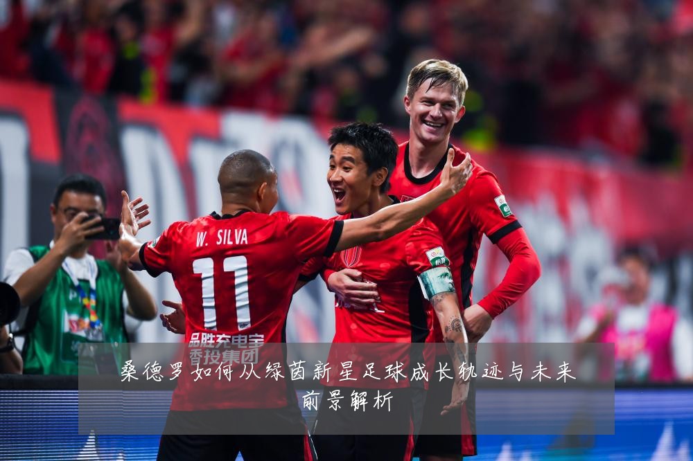 桑德罗如何从绿茵新星足球成长轨迹与未来前景解析