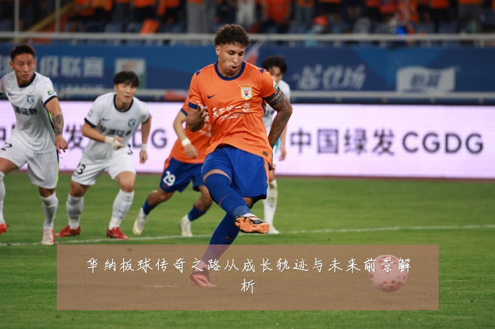 华纳板球传奇之路从成长轨迹与未来前景解析